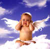 Cryangel_copy.jpg (34688 bytes)