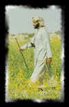 zaid6.jpg (18058 bytes)